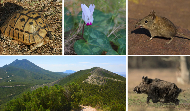 BOUKORNINE NATIONAL PARK