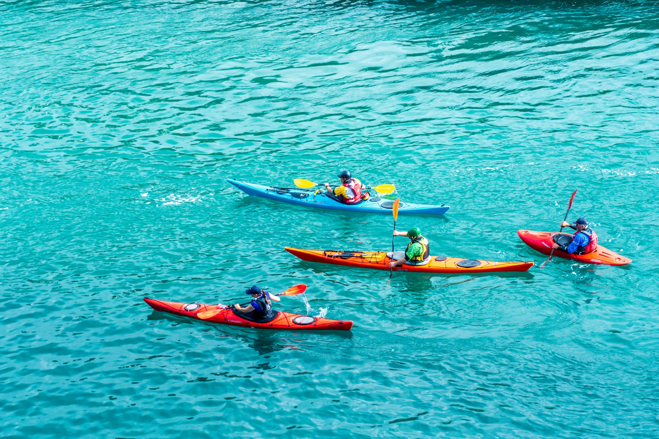 Kayak Experience