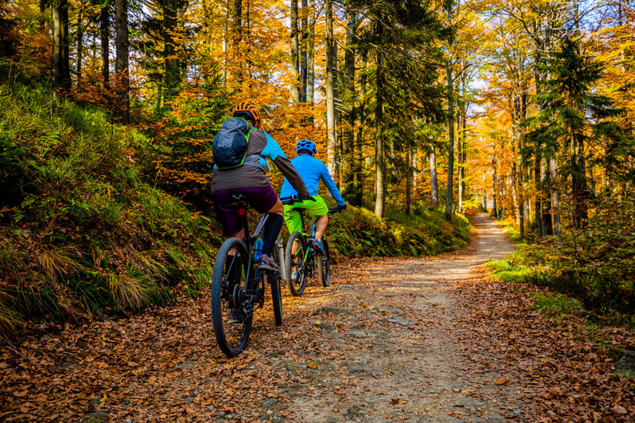 Mountain Bike Adventure