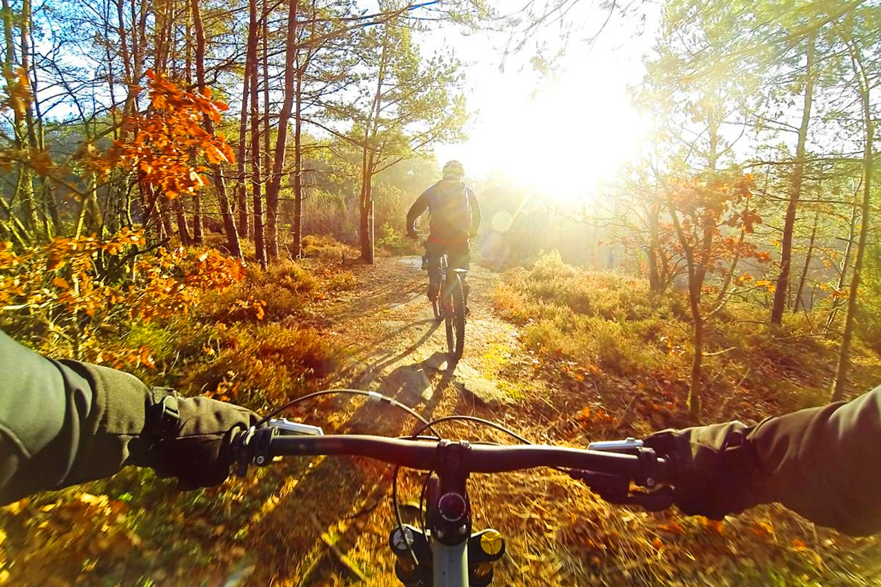 Mountain Bike Adventure