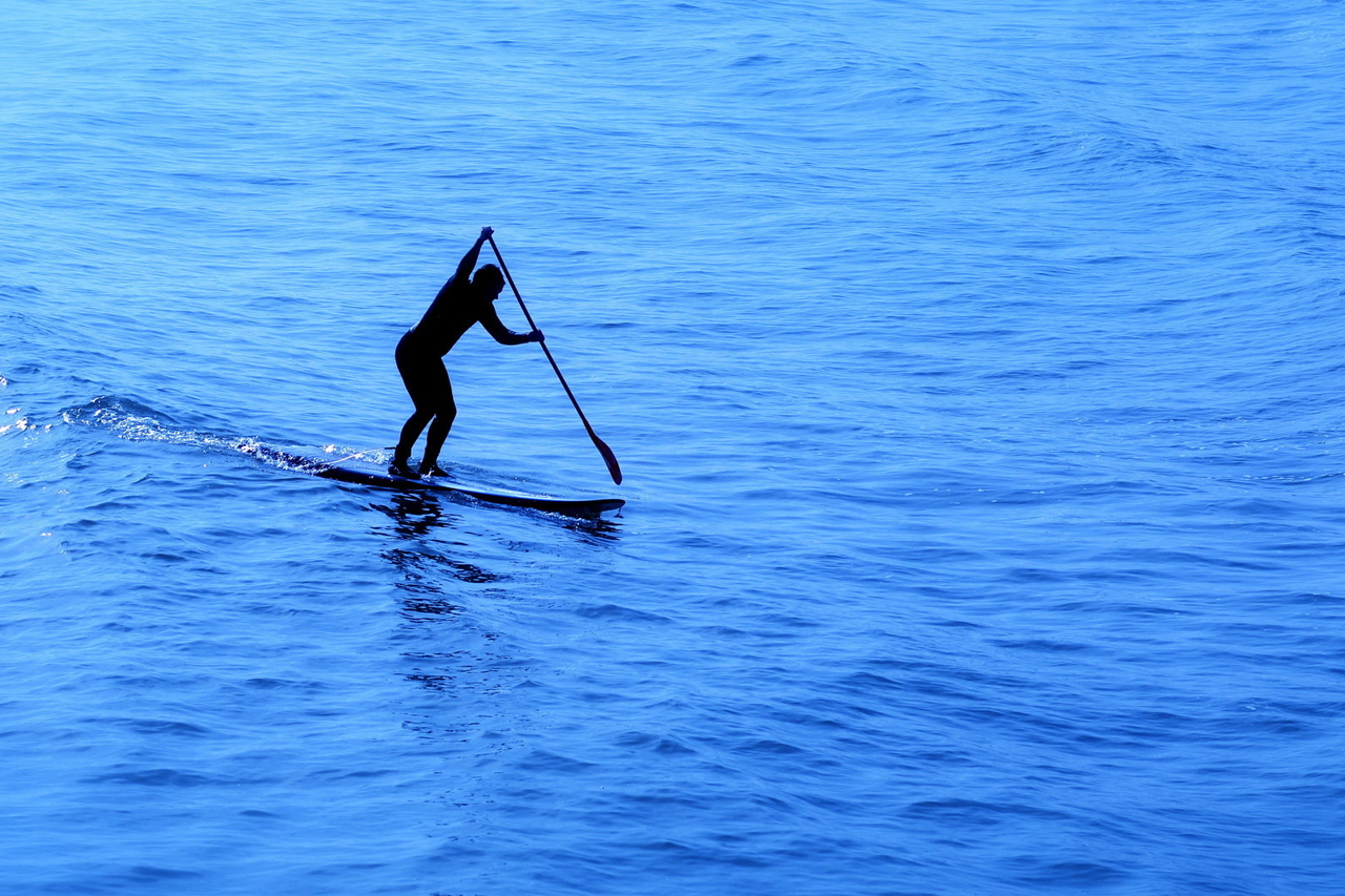 Paddle Experience