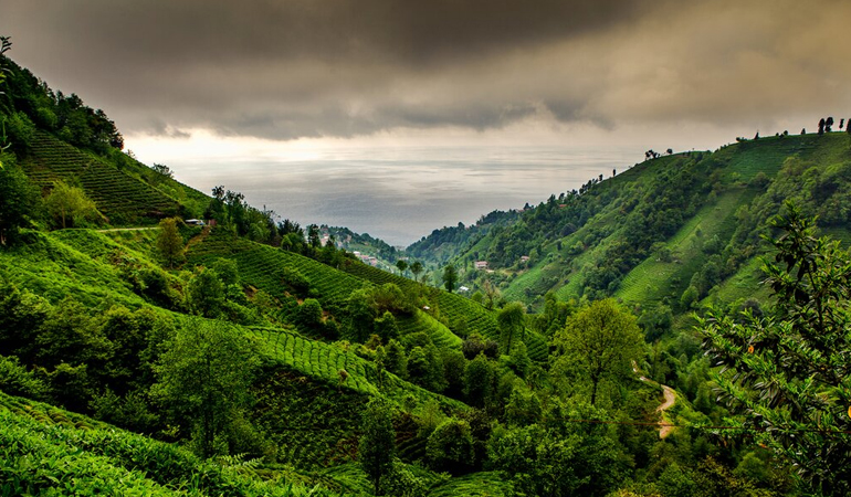 TRABZON