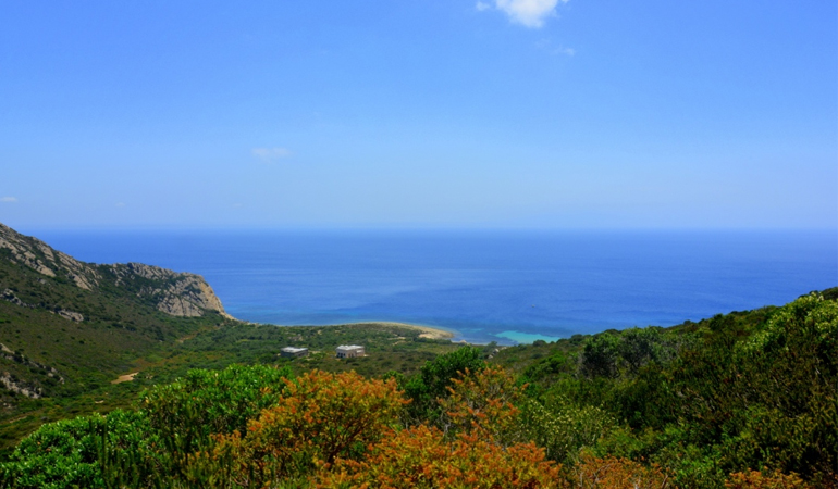 Exploring Zembra and Zembretta Islands National Park